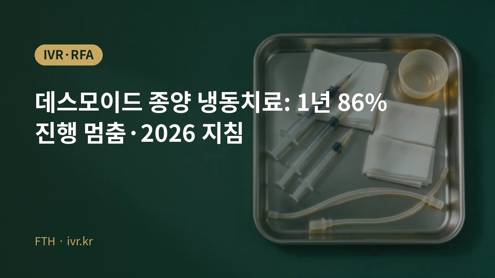 데스모이드 종양 냉동치료 영상 유도 시술 대표 이미지