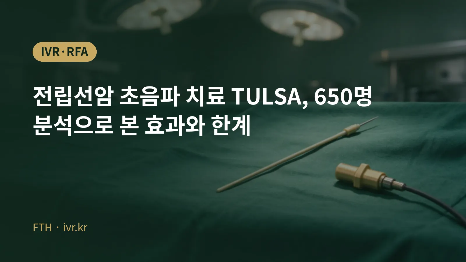 전립선암 MRI 유도 경요도 초음파 소작술(TULSA) 메타분석 대표 이미지